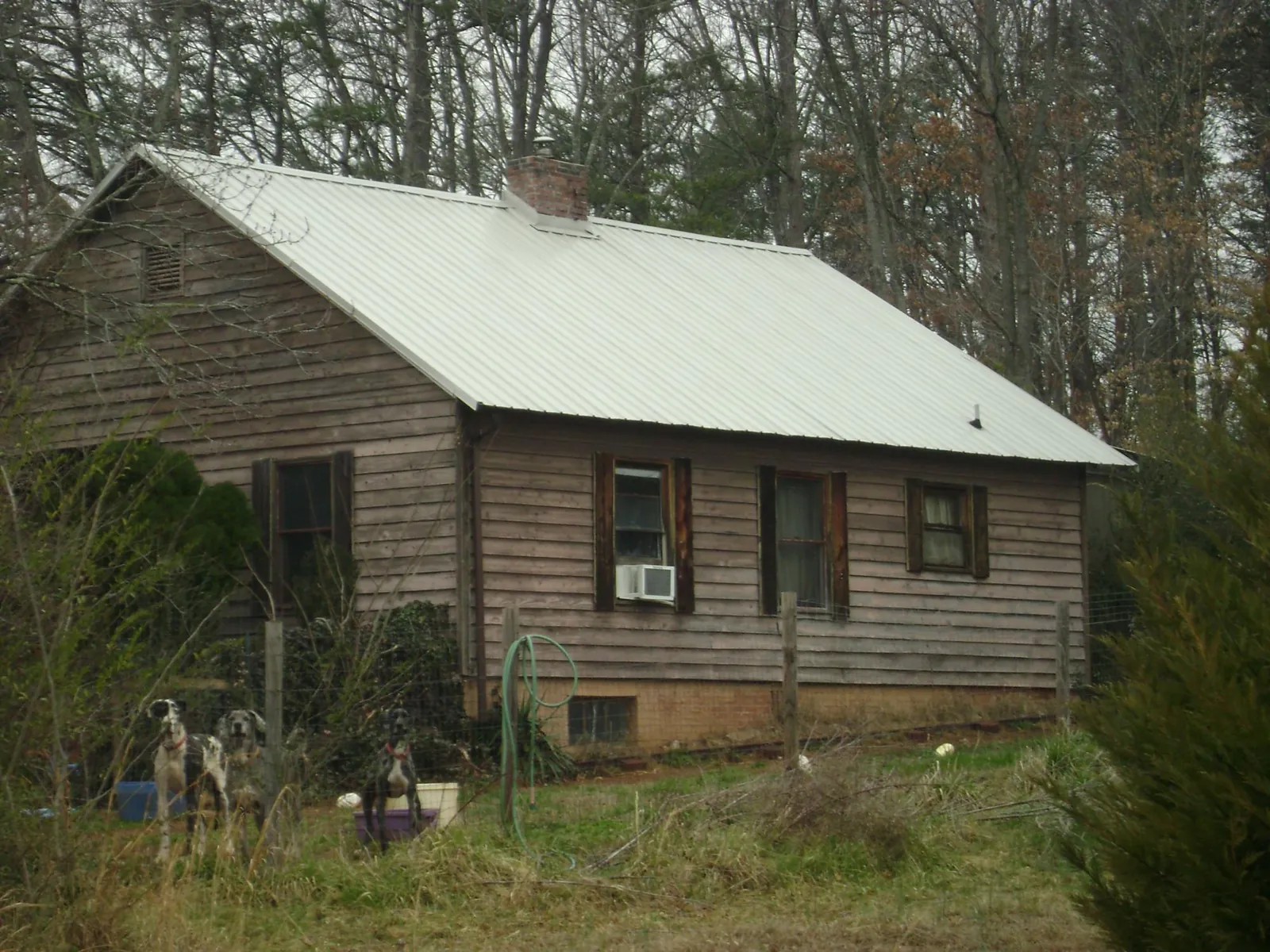 White metal roof on an old wood sided farmhouse, from a Asphalt Shingle Roof Repair job in New Harmony